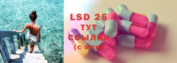 ГАЛЛЮЦИНОГЕННЫЕ ГРИБЫ Аркадак