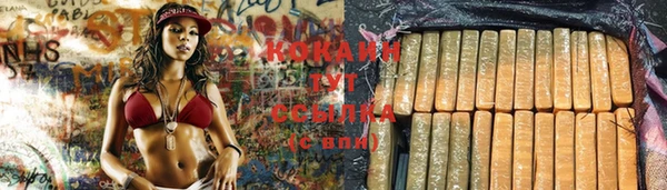 ГАЛЛЮЦИНОГЕННЫЕ ГРИБЫ Аркадак