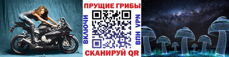 Псилоцибиновые грибы мухоморы  Купить  Томмот 